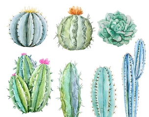Foto op Canvas Watercolor cactus set © zenina