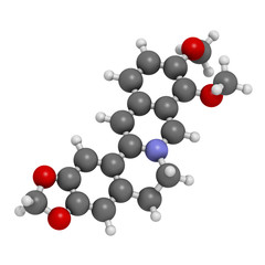 Berberine herbal medicine molecule. 3D rendering. Atoms are represented as spheres with conventional color coding: hydrogen (white), carbon (grey), nitrogen (blue), oxygen (red).