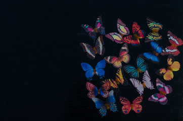Obraz na płótnie Canvas Butterfly decoration on the black wooden background, still life butterfly
