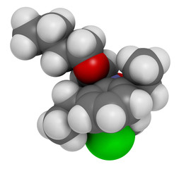 Butachlor herbicide molecule. 3D rendering. Atoms are represented as spheres with conventional color coding: hydrogen (white), carbon (grey), oxygen (red), nitrogen (blue), chlorine (green).