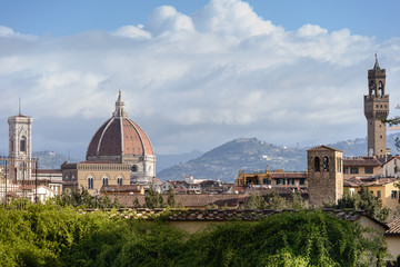 Fototapeta na wymiar Vista del Duomo de Florencia, Italia