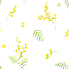 Watercolor mimosa pattern