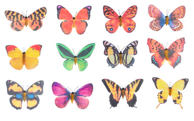 butterfly plastic isolated white background