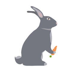 A hare with a carrot