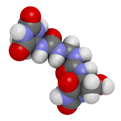 Imidazolidinyl urea antimicrobial preservative molecule (formaldehyde releaser). 3D rendering. Atoms are represented as spheres with conventional color coding.