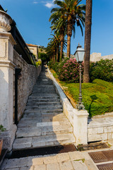 Old stone staircase with a palm tree in Dubrovnik, croatia