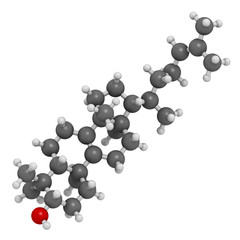Lanosterol molecule. Investigated for treatment of cataract. 3D rendering. Atoms are represented as spheres with conventional color coding: hydrogen (white), carbon (grey), oxygen (red).