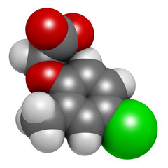 MCPA (2-methyl-4-chlorophenoxyacetic acid) herbicide molecule. 3D rendering. Atoms are represented as spheres with conventional color coding.