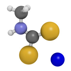 Metam sodium pesticide molecule. 3D rendering. Atoms are represented as spheres with conventional color coding: hydrogen (white), carbon (grey), nitrogen (blue), sulfur (yellow), sodium (blue).