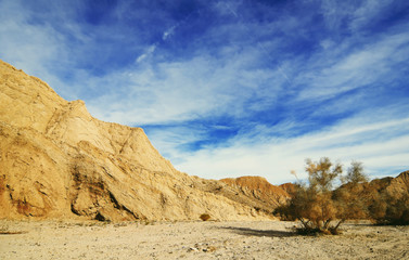 Anza Borrego Desert view