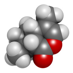 Nepetalactone catnip cat attractant molecule. 3D rendering. Atoms are represented as spheres with conventional color coding: hydrogen (white), carbon (grey), oxygen (red).