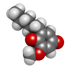 Primin primrose plant allergen molecule. 3D rendering. Atoms are represented as spheres with conventional color coding: hydrogen (white), carbon (grey), oxygen (red).