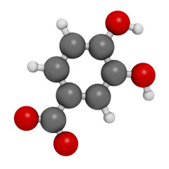 Protocatechuic acid (PCA) green tea antioxidant molecule. 3D rendering. Atoms are represented as spheres with conventional color coding: hydrogen (white), carbon (grey), oxygen (red).