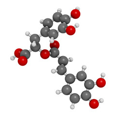 rosmarinic acid herbal antioxidant molecule. Present in a number of plants including rosemary (Rosmarinus officinalis). 3D rendering. Atoms are represented as spheres with conventional color coding.