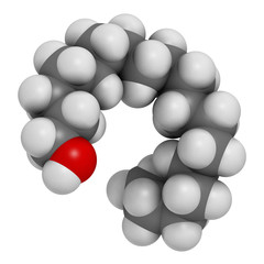 Stearyl alcohol molecule. Constituent of cetostearyl alcohol (cetearyl alcohol, cetylstearyl alcohol). 3D rendering. Atoms are represented as spheres with conventional color coding.