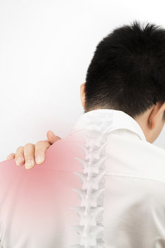 spine bones injury