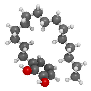 Urushiol poison ivy allergen molecule. Also present in poison oak, lacquer tree and poison sumac. Urushiol is a mixture of closely related components, only one of which is shown. 3D rendering. 