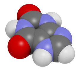 Xanthine purine base molecule. 3D rendering. Atoms are represented as spheres with conventional color coding: hydrogen (white), carbon (grey), nitrogen (blue), oxygen (red).
