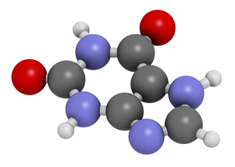 Xanthine purine base molecule. 3D rendering. Atoms are represented as spheres with conventional color coding: hydrogen (white), carbon (grey), nitrogen (blue), oxygen (red).