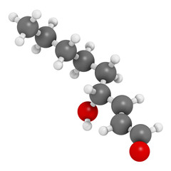 4-Hydroxynonenal (HNE) molecule. Metabolite produced by lipid peroxidation of polyunsaturated omega-6 fatty acids. 3D rendering. Atoms are represented as spheres with conventional color coding.