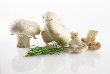 Fresh and appetizing mushrooms isolated on white background