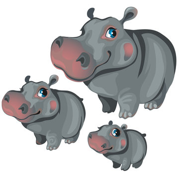 Cartoon hippo on white background. Vector animals
