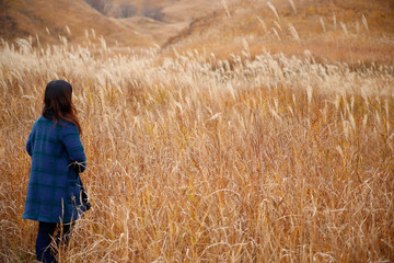 Naklejka na ściany i meble Japanese women walking in autumn grassland