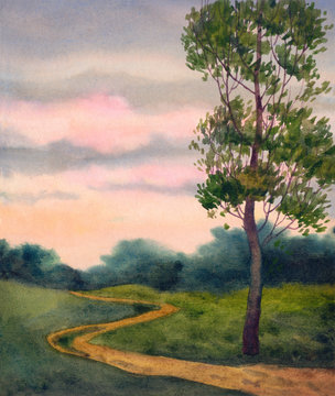 Lone poplar near trails