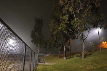 Night Fog in a Park
