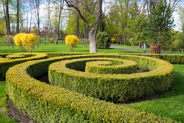 Garden with topiary landscape. Landscaping in the park