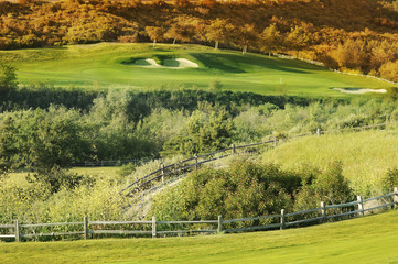 Wavy green golf field