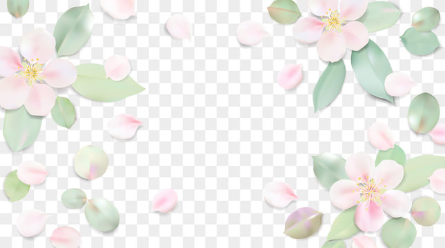 Pastel background with flower leaves.