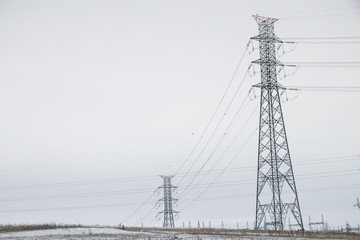 Winter Landscape