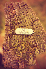 I love you