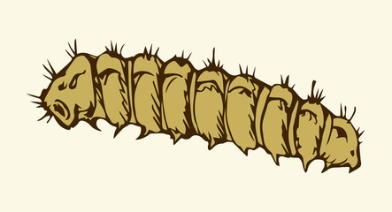 Vector illustration. Caterpillar