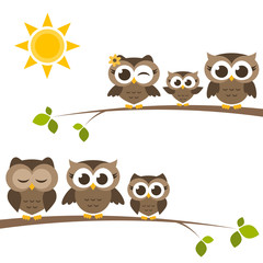 brown owls and owlets on the tree