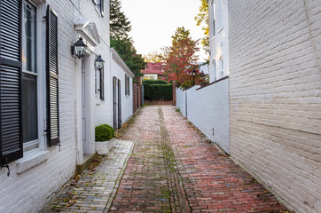 Narrow Street, paved with Bricks, between Old White Buildings.