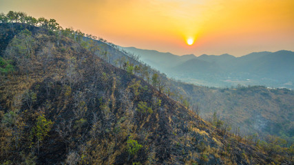 Fototapeta na wymiar sunshine on the wildfire