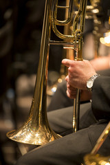 Details of a music orchestra