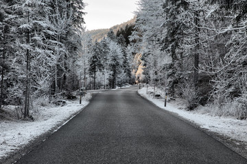 Frozen nature near Garmisch-Partenkirchen, Germany