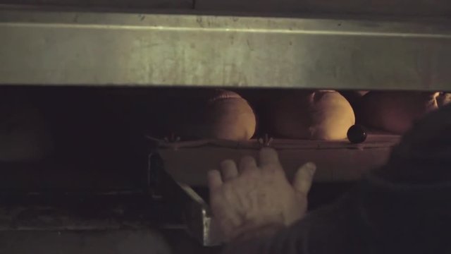 Baker puts tray with raw bread loaves to baking oven HD video. Bakery bread production, working preparation process