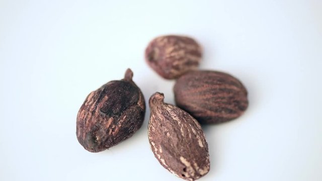 close up of shea butter nuts on rotating table