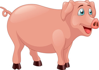 Cute pig cartoon. vector illustration