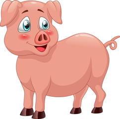 Cute pig cartoon. vector illustration