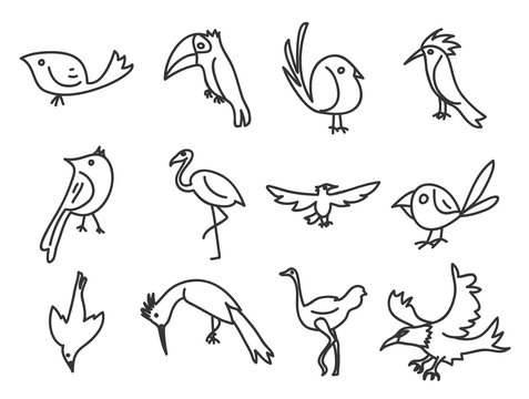 bird  icon hand deawn vector set line art illustration