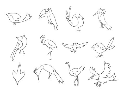 bird thin line icon hand deawn vector set line art illustration
