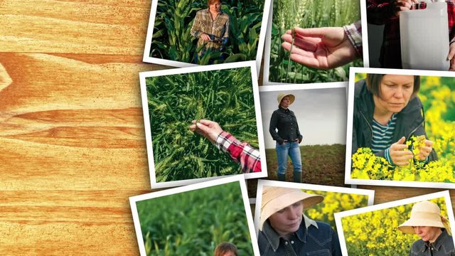 Woman in farming and agriculture, photo collage with copy space of many photographs depicting female farmer working in field and garden