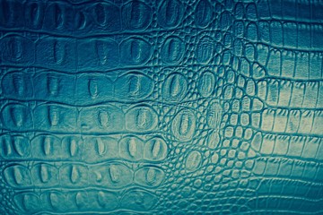 blaues Krokodilleder