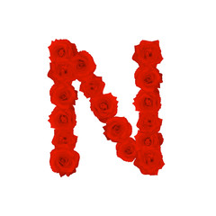 The letter N, in the Alphabet bloom red roses illustration set isolated on white background, vector eps10