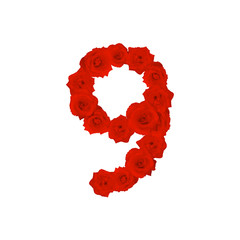 The letter number nine or 9, in the Alphabet bloom red roses illustration set isolated on white background, vector eps10